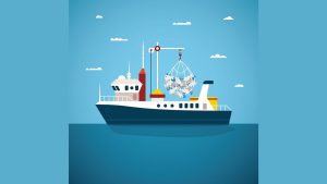 Impianti portuali di raccolta rifiuti: i chiarimenti del MASE sull’iscrizione al RENTRI