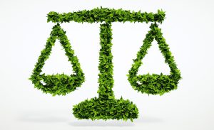 Amministratore aziendale responsabile per abbandono di rifiuti anche da parte di terzi